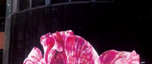 led屏為什么會流行起來？都有什么特點？